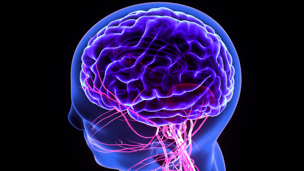 emotional triggers, fight or flight responses, Darwin expression of emotions